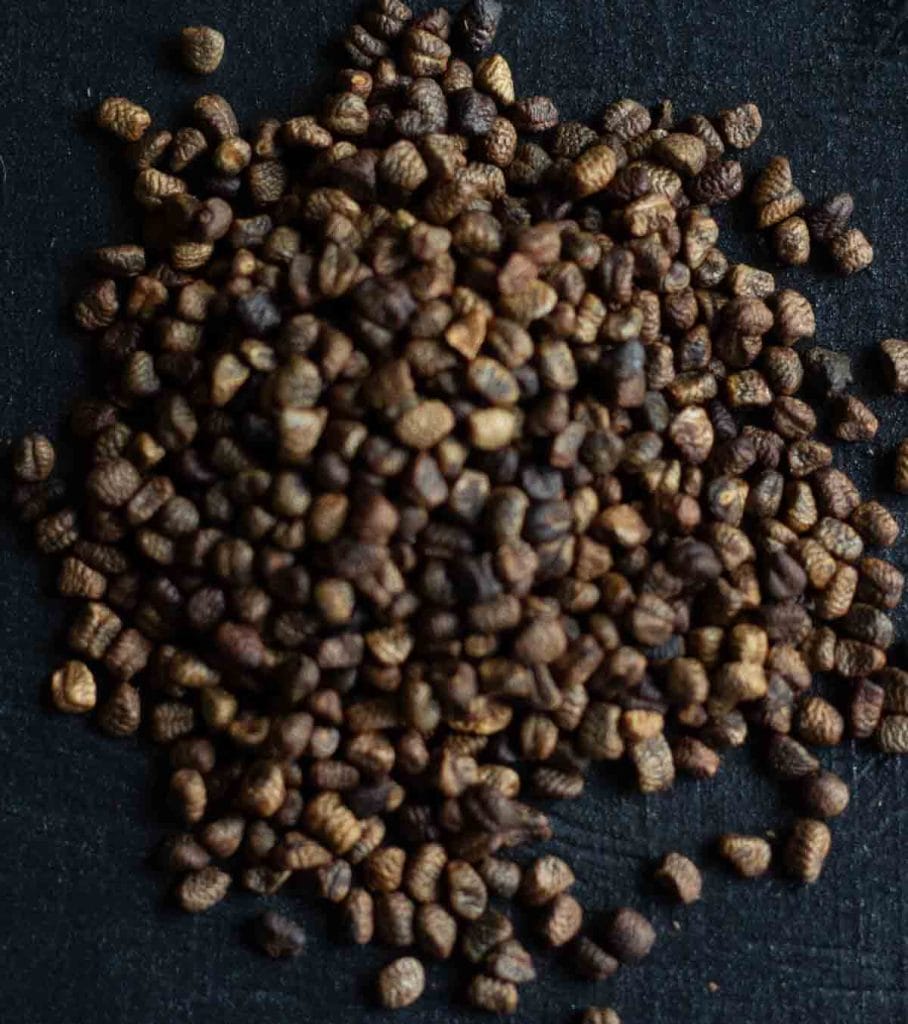Cardamom seeds on a dark background
