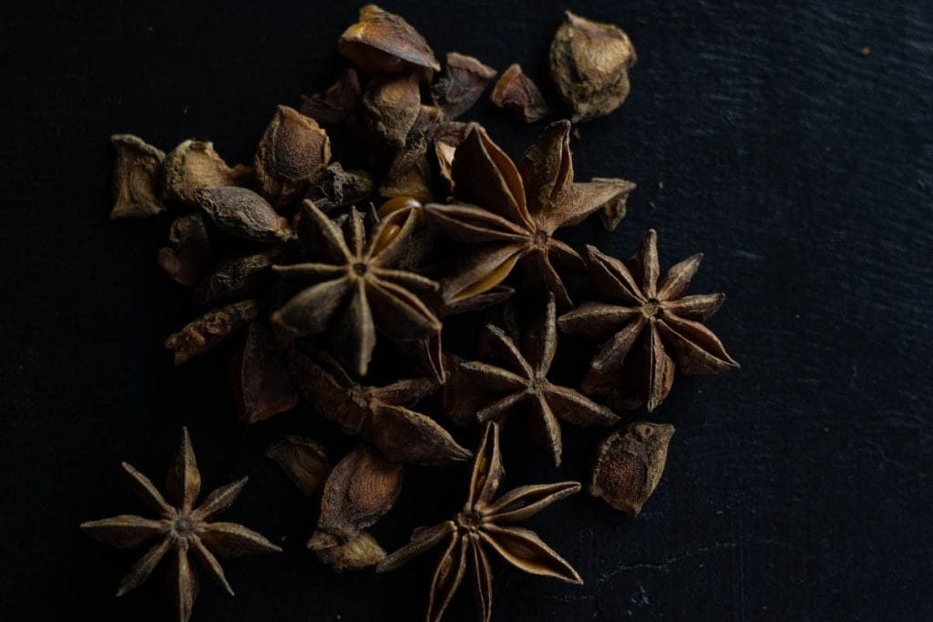 Star anise on a dark background