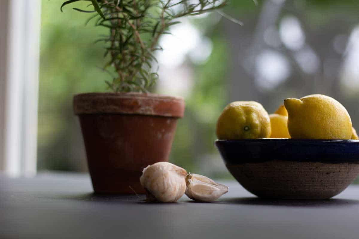 side view of a bowl of lemons, garlic and rosemary plant in a little pot