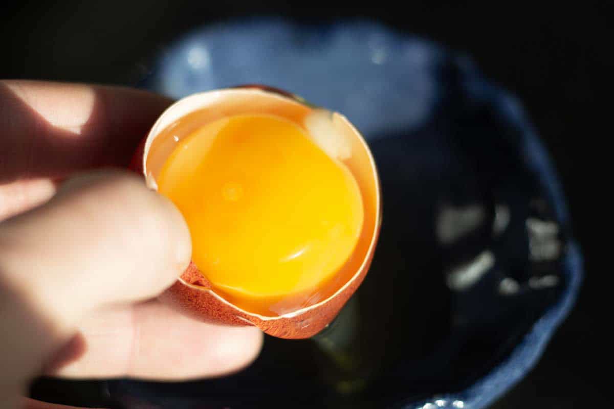 a hand holding am egg shell with an egg yolk in