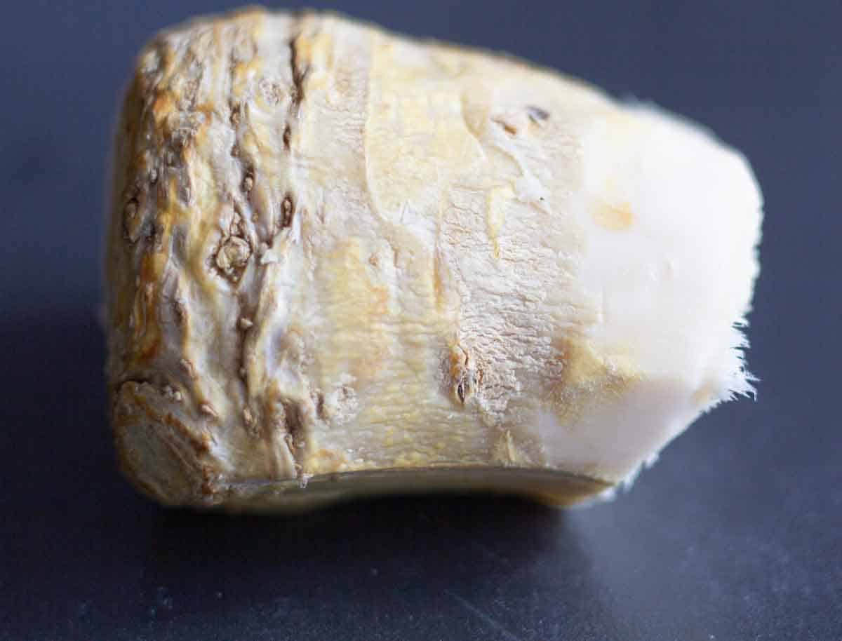 a knob of horseradish root