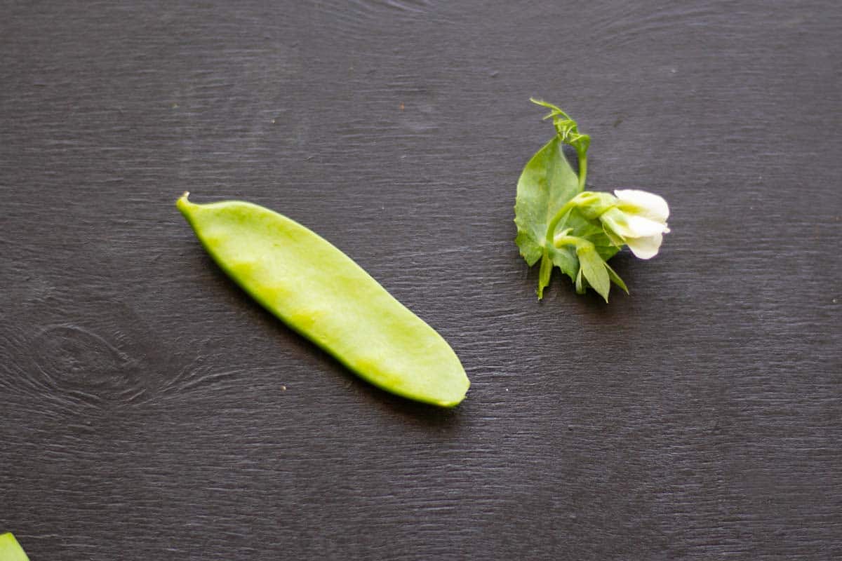 a pe apod and pea flower on a dark table