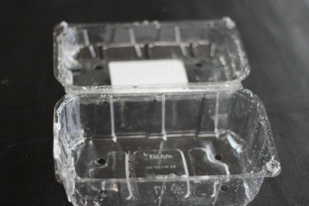 a plastic fruit container