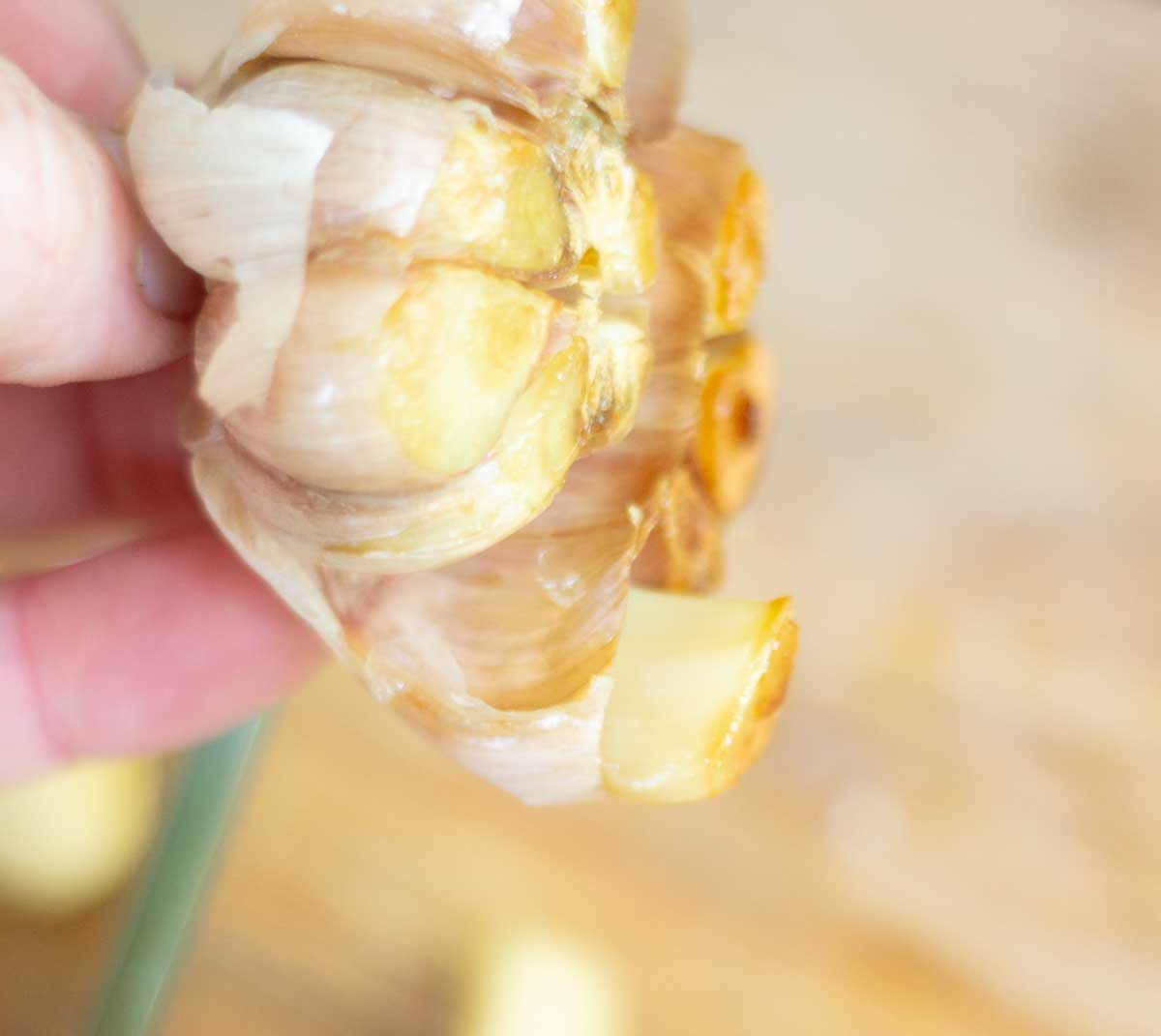 a hand holding a head of roasted garlic