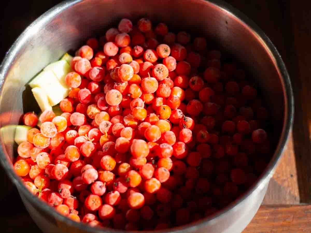 chopped apple and frozen rowan berries in a stainless steel pot
